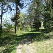 sonnenburg weg nach fassing nr