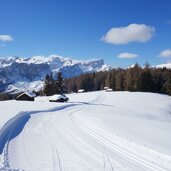 armentara winter landschaft langlauf loipen