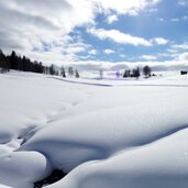 armentara wiesen winter