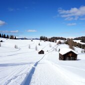 armentara wiesen winter weg a