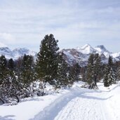 winter blick auf conturines