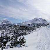 dolomiten hoehenweg winter dahinter seekofel und hohe gaisl bis lavinores