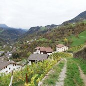 weg abstieg barbian nach kollmann eisacktal herbst