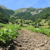 Vinschgau Martelltal Meiern