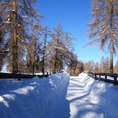 weg e sagenweg oberhalb von edelweiss winter