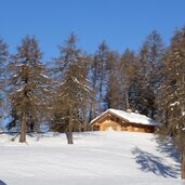 winter landschaft tschoegglberg salten jenesien e laerchenwiesen