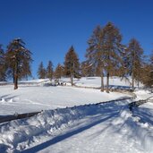 winter landschaft tschoegglberg salten jenesien e laerchenwiesen