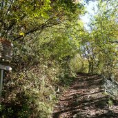 weg nr bei rune stein abzweigung keschtnweg