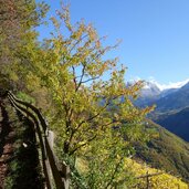 weg nr abstieg bei obergenagner hof