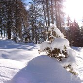Meran Kreuzjoechl