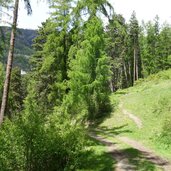 forststrasse weg nr tanas eyrs