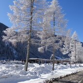 winter ulten kuppelwies talstation schwemmalm skigebiet