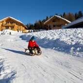 roner alm schlitten rodeln piste person
