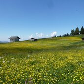 wiesen und huetten bei pianer kreuz rodenecker alm