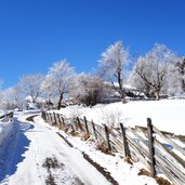 ulten winter kuppelwies ultner hoefeweg