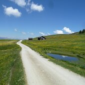 weg nr von pianerkreuz richtung astjoch rodeneckeralm fr