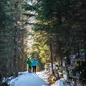 wanderer am schoepfungsweg wald