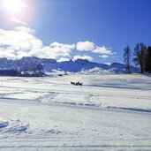 seiser alm winter langlaufen pferdeschlitten