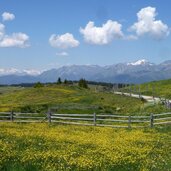 rodenecker luesner alm astjoch