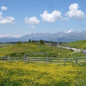 rodenecker luesner alm zwischen starkenfeld und astjoch