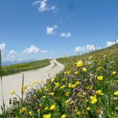 weg nr richtung astjoch rodenecker alm
