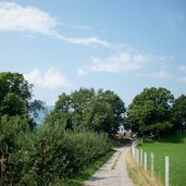 dorf tirol kastanienbaum am apfelweg