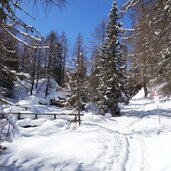 abzweigung fischersee weissbrunn winter