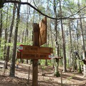 wanderweg altenburg kaltern bei abenteuerpark hochseilgarten