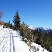 forstweg zur weizgruber alm blick richtung windschar