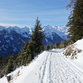 forstweg unterhalb weizgruber alm