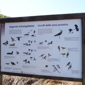 infotafel raier moos bei raas natz schabs