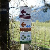doerferunde weg bei raier moos natur aktiv park