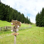 abzweigung schaeferalm und leachalm karbachtal