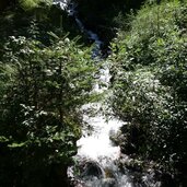 kortscher wald grubbach noerdersberg