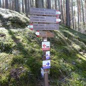wald bei viums wegweiser doerferrunde wanderwege