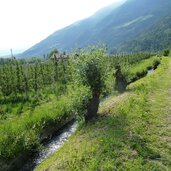 kastelbell obstwiesen bei marein