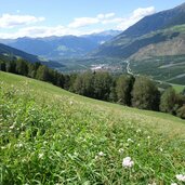 aussicht von noerdersberg wiesen richtung laas