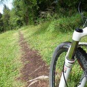 weg abkuerzung abstieg nach bad moos mtb trail