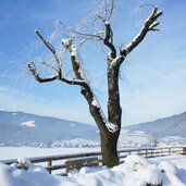 bruneck st georgen winter