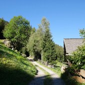 strasse bei rappenhoefe magdfeld