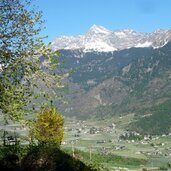 marlinger waalweg oberhalb von forst blick richtung plars