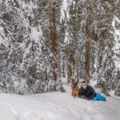 winter wald mit hund gsies weg