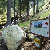 weg von marzoner alm almenweg nach tomberg a