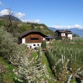 weg nr richtung sirmian bauernhoefe