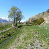 schweinweg von kortsch nach allitz bei laas