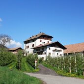 regele hof bei sirmian