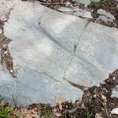 archeopfad brixen stein spuren