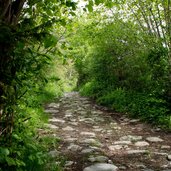 archeopfad brixen weg siedlungsspuren