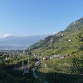 weinberge eingang ins sarntal bei bozen