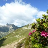 penser joch weg zum sarner weisshorn